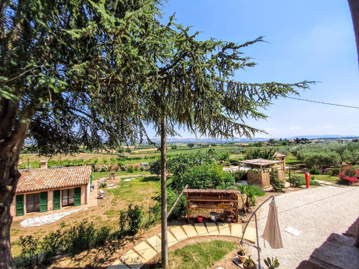 Agriturismo Rosa Antica Монте-Сан-Вито Экстерьер фото