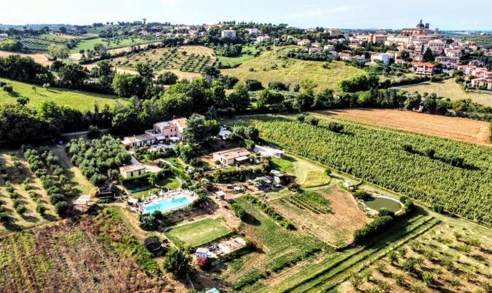 Agriturismo Rosa Antica Монте-Сан-Вито Экстерьер фото