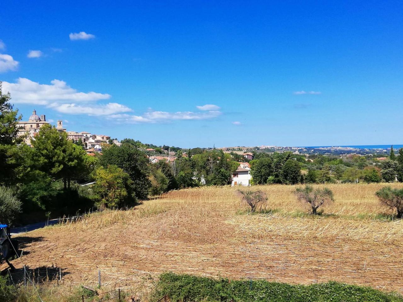 Agriturismo Rosa Antica Монте-Сан-Вито Экстерьер фото