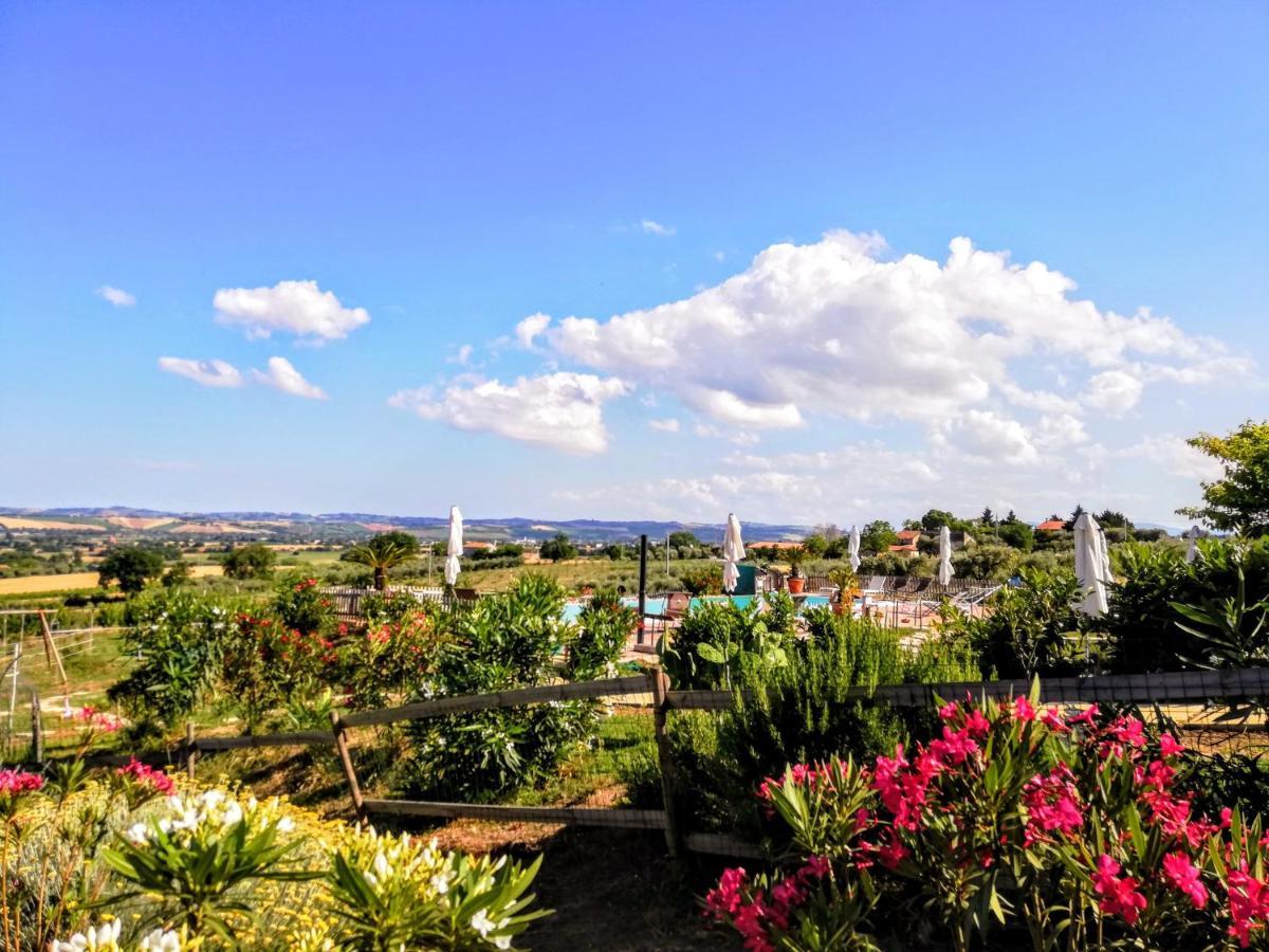 Agriturismo Rosa Antica Монте-Сан-Вито Экстерьер фото